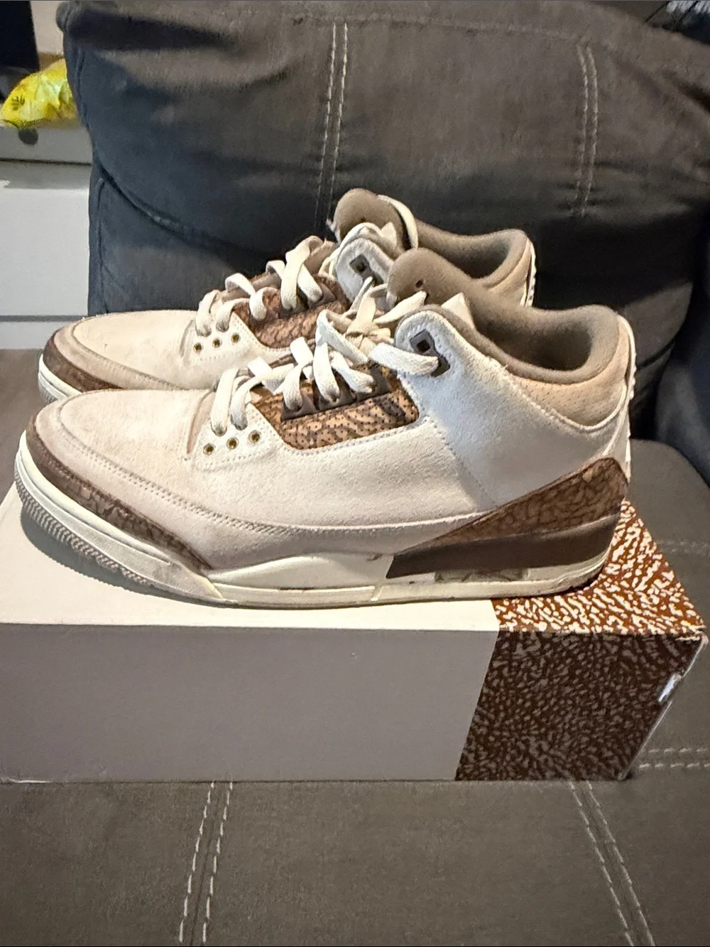 Jordan Retro 3s